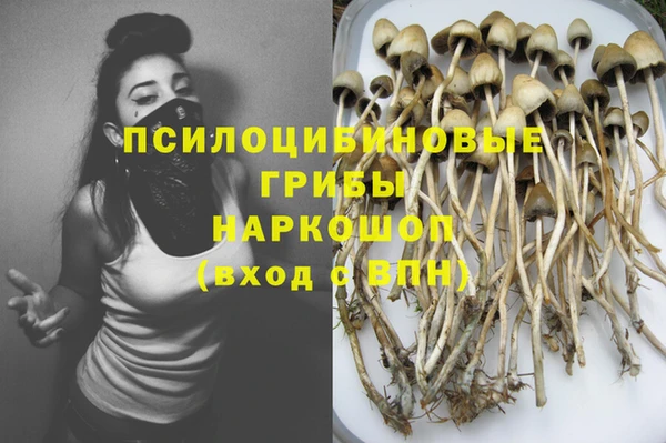 метадон Карпинск
