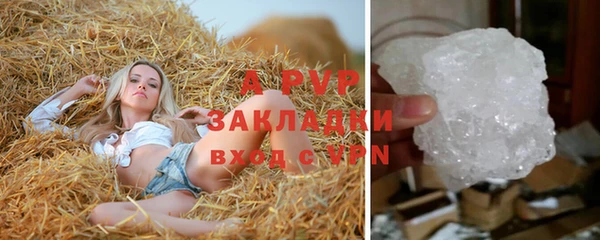 стафф Кинешма