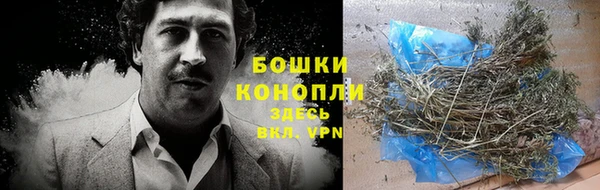 стафф Кинешма