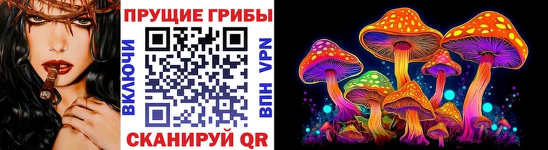 Галлюциногенные грибы Magic Shrooms  Купить закладки  Балахна 